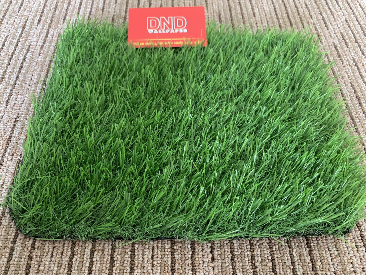 Cỏ Nhân Tạo Tại Đà Nẵng